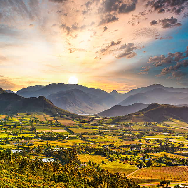 Full-day Cape Winelands Tour