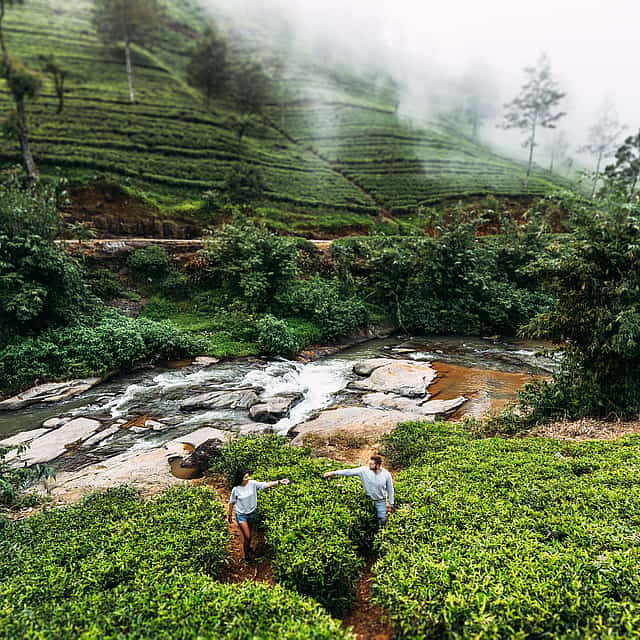 2-day Tour: Explore Ella in Deep with Nature