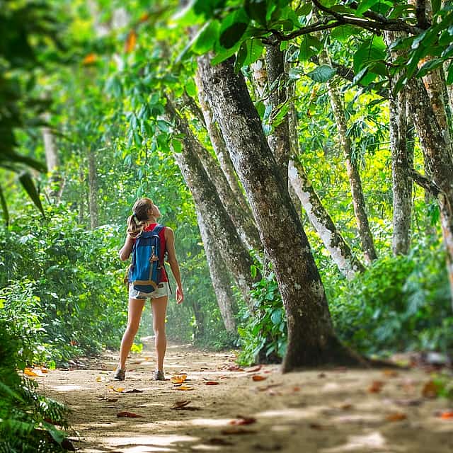 Cahuita National Park and Banana Plantation Tour from Limon