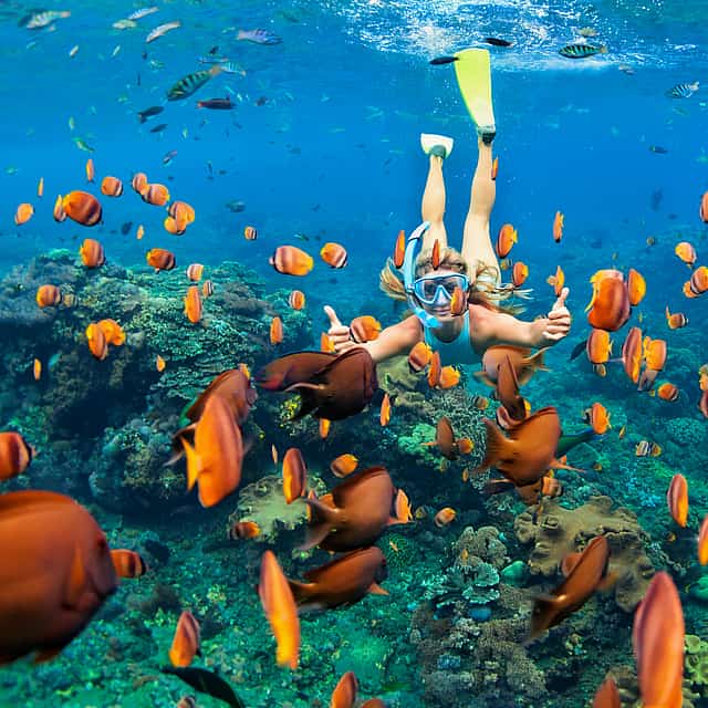Snorkeling Tour to Ras Mohamed and White Island by Boat