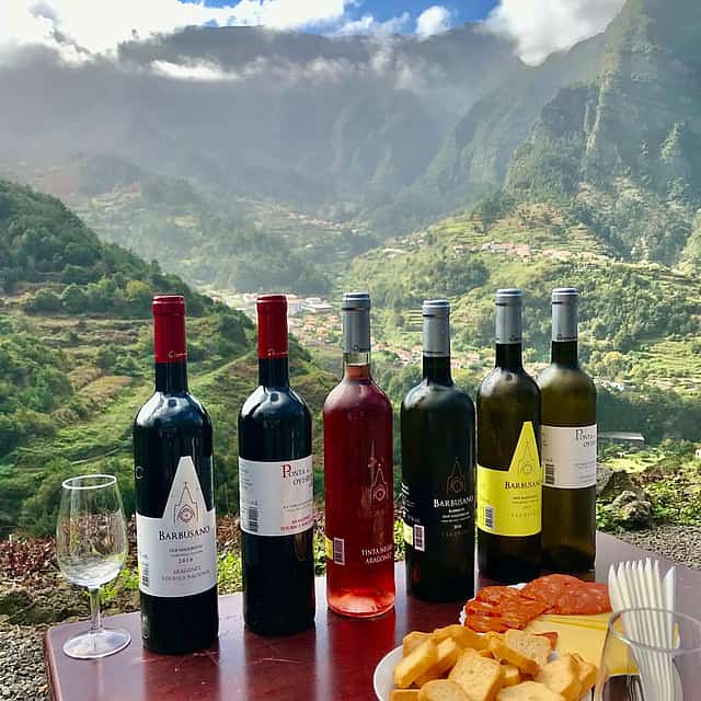 Full-day Wine Tasting Tour with Lunch in the Vineyard