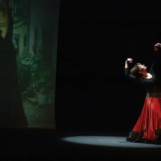 Traditional Flamenco Show Ticket
