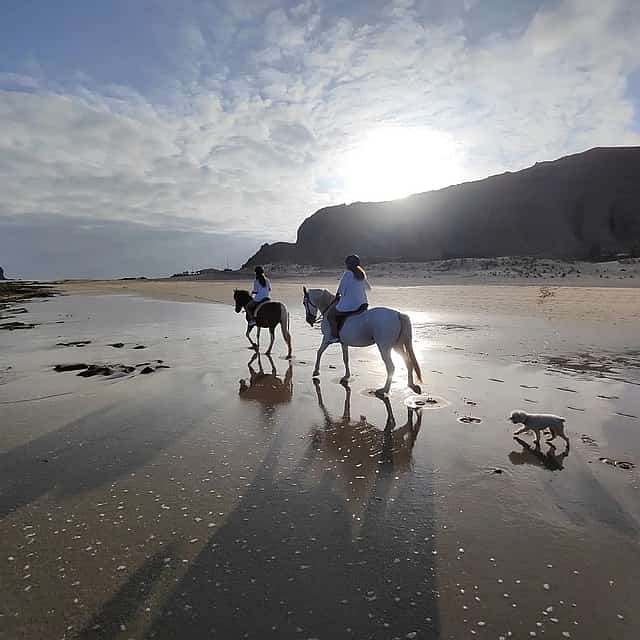 Paseo a caballo al atardecer en la playa de la isla de Porto Santo