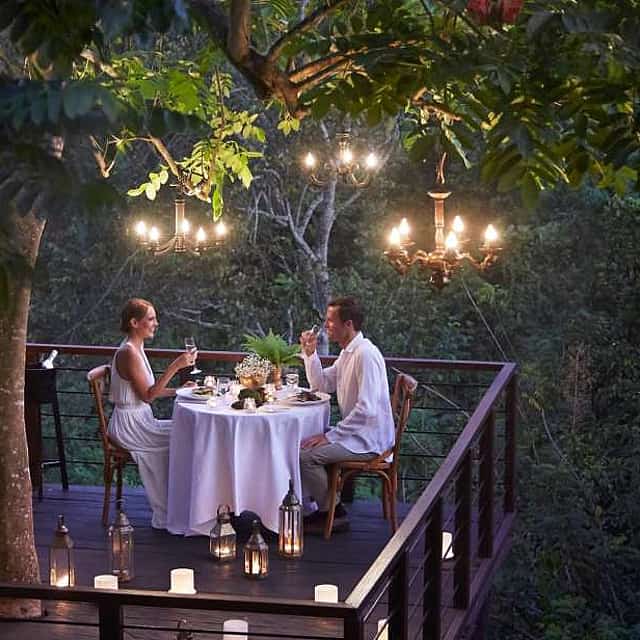 Romantic Dinner on a Forest Tree Deck