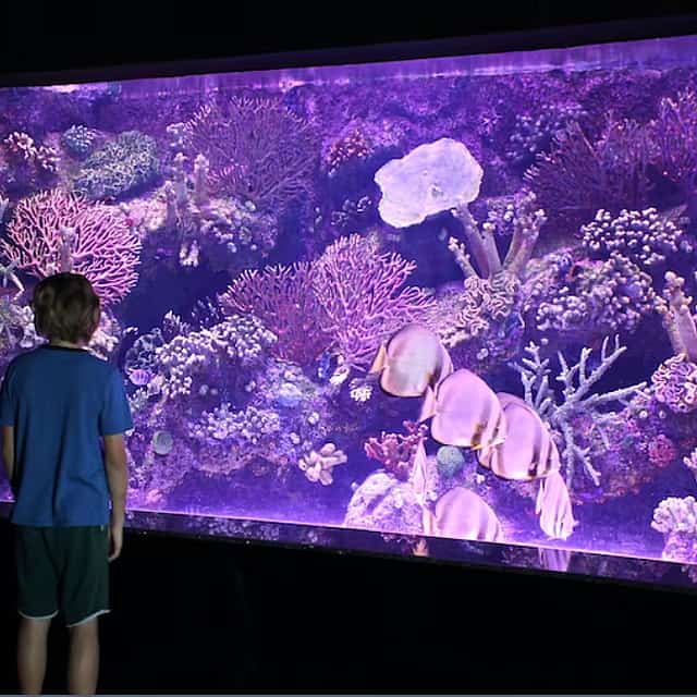 Acuario de Antalya con lanzadera desde Kemer