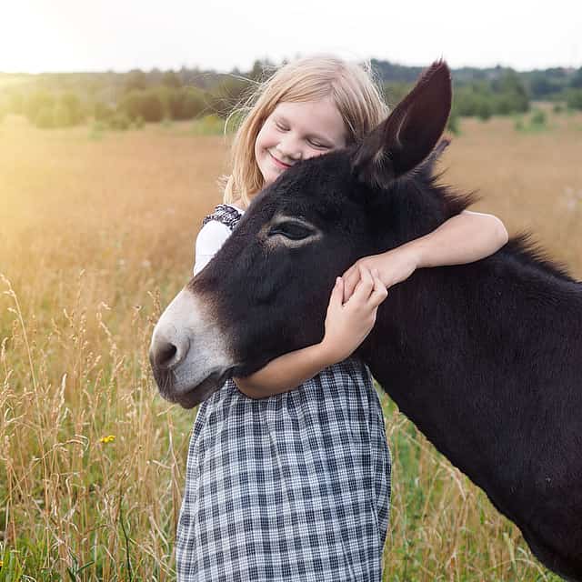 Paseo en burro por Aljezur