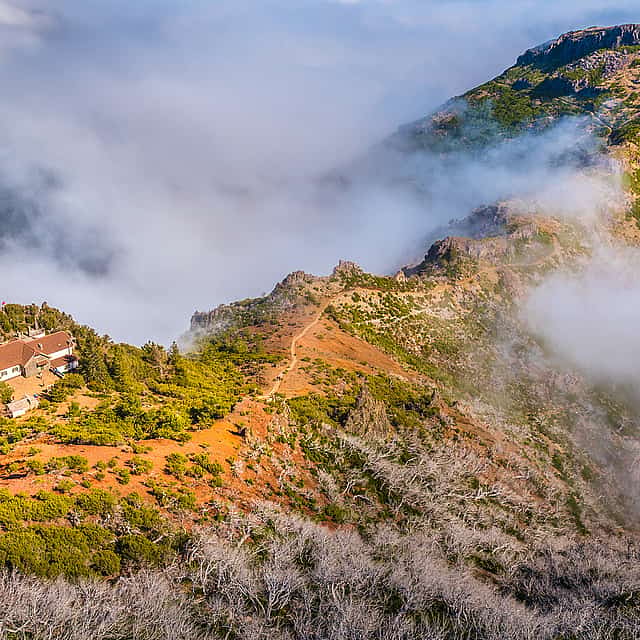 Picos da Madeira Passeio a pé de dia inteiro