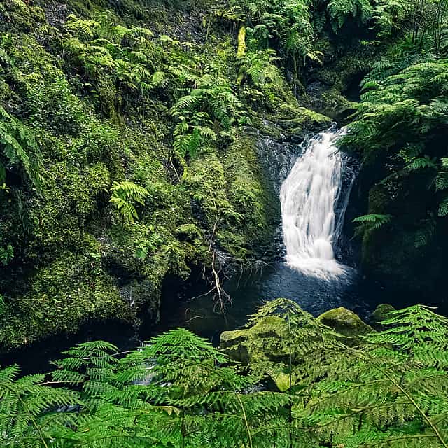 King's Levada, Hidden Corners Ganztägige Wandertour