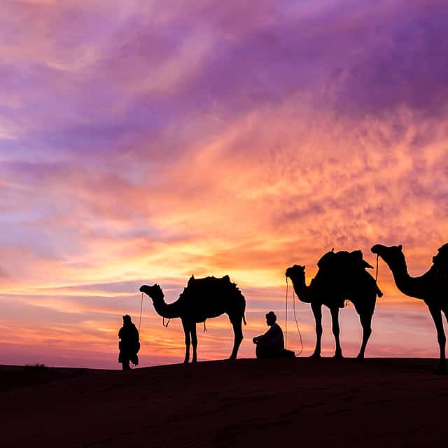 Safari por el desierto de Dubai sin Dune Bashing