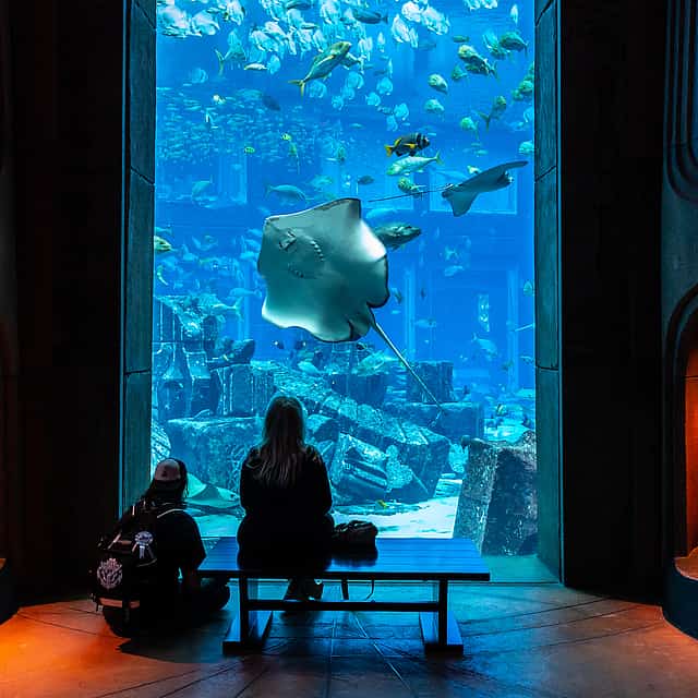 Admission Tickets to Dubai Aquaventure and Lost Chambers Aquarium