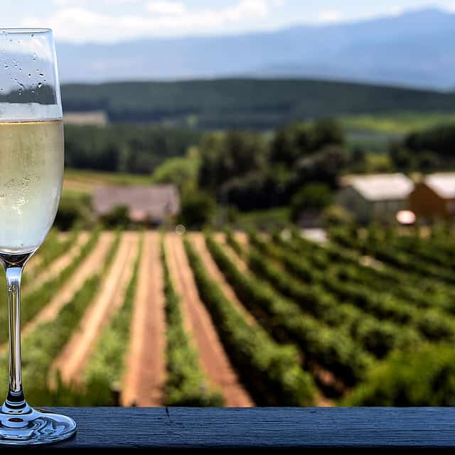 Esperienza esclusiva di champagne e cioccolato