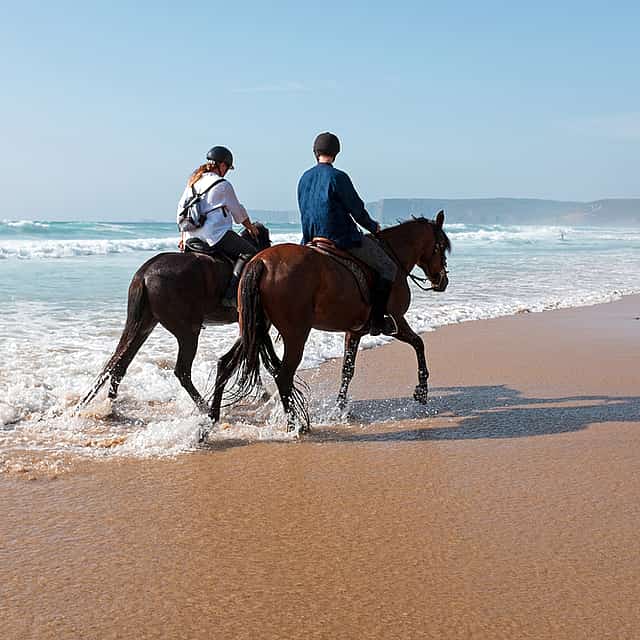 Paardrijden Agadir &amp; Flamingo rivier