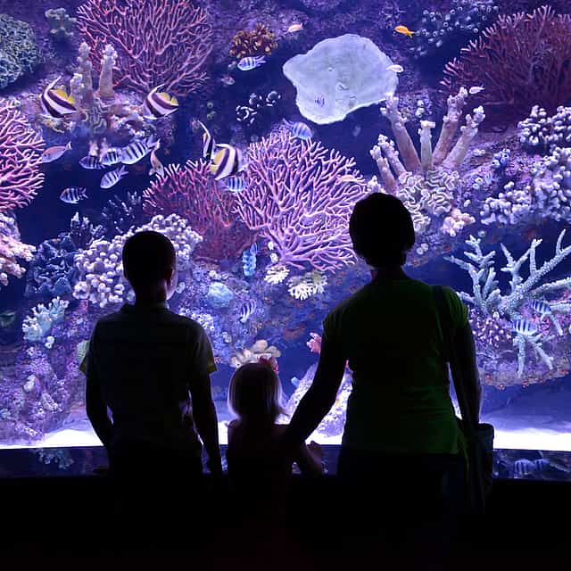 Aquarium Tour from Antalya
