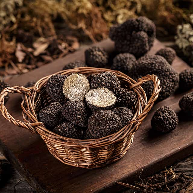 Cyprus Truffle Tour