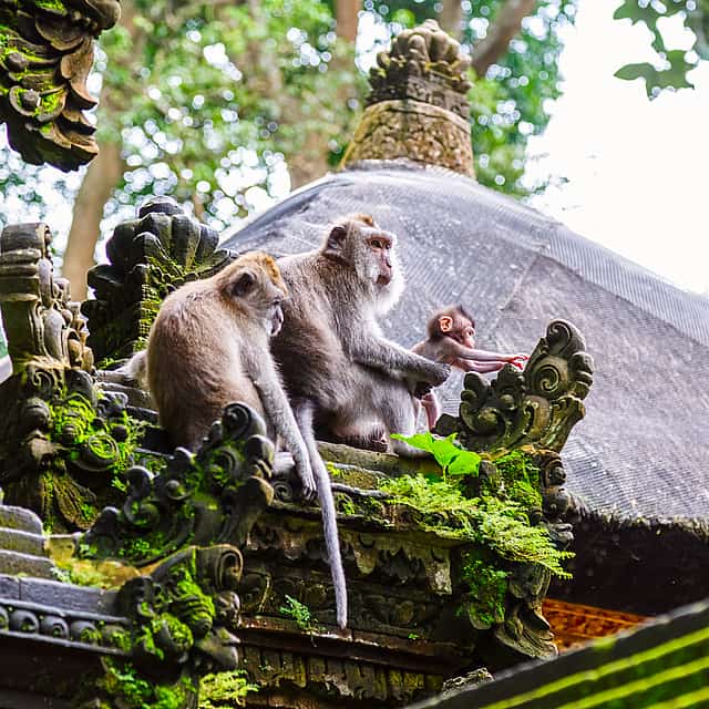 Bali Verborgene Juwelen Tour