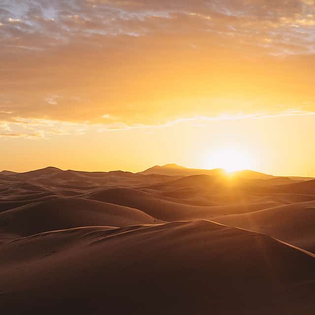 Private Half-day Desert Safari from Doha