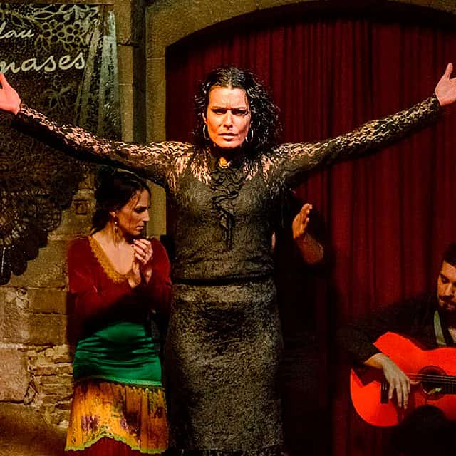 Barcelona Old Town Walking Tour, Flamenco Show & Tapas Tour in the Born District