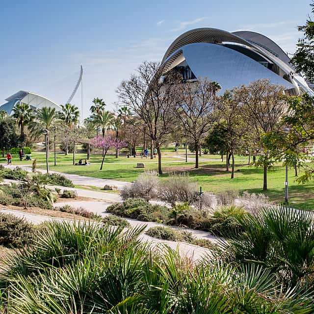 Valencia Sightseeing Tour