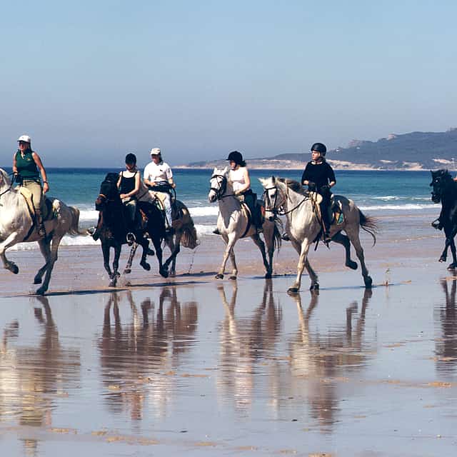 Seaside Horse Riding in Istanbul
