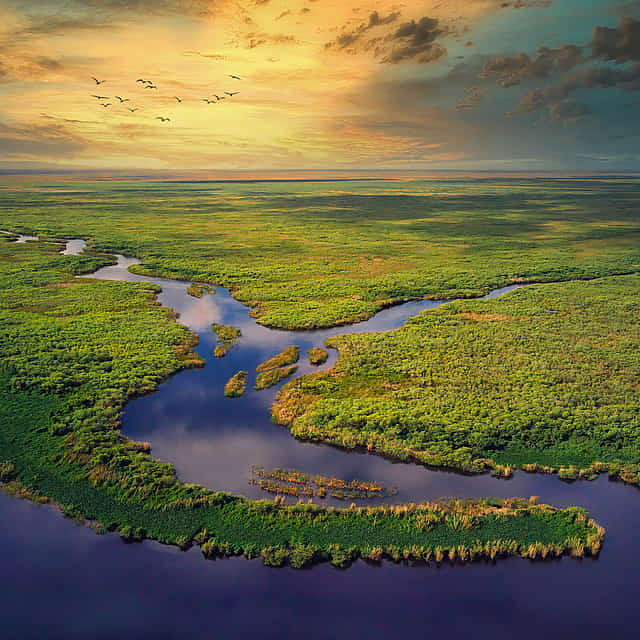The Never Ending River of Grass