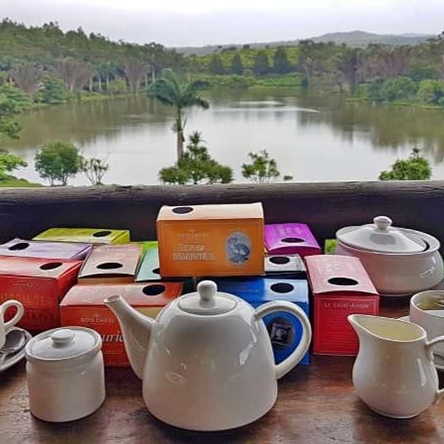 For Couples: Full-day Tea Route with Tea&Rum Tastings