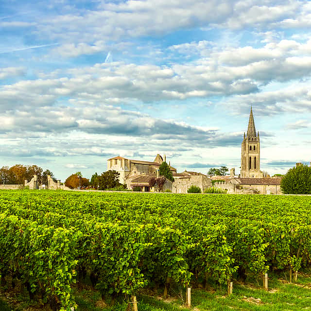 Saint Emilion Wine Tour from Bordeaux