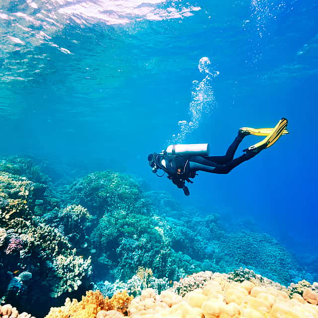 PADI Rescue Diver Certification Course