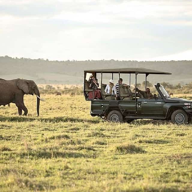 Excursión privada de 2 días al safari Selous con vuelo