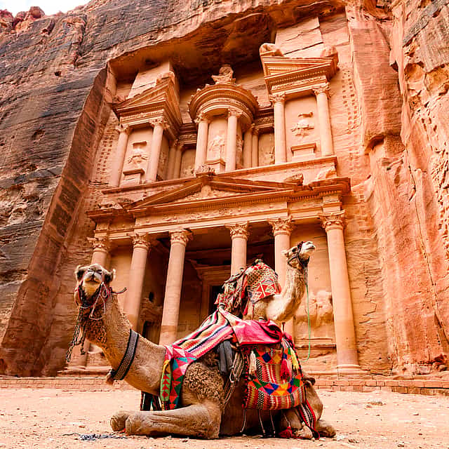 Ship of the Desert Camel Ride Private Tour