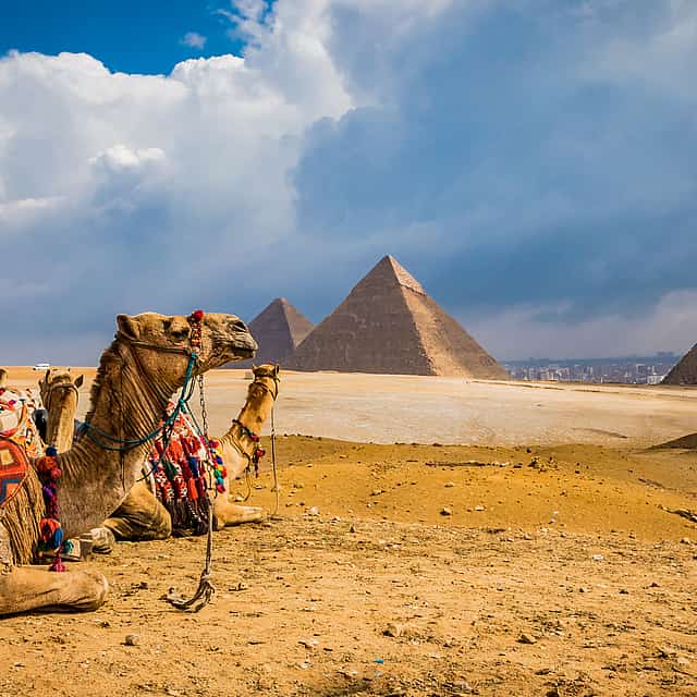 Half-day Giza Pyramids Tour with Camel Ride