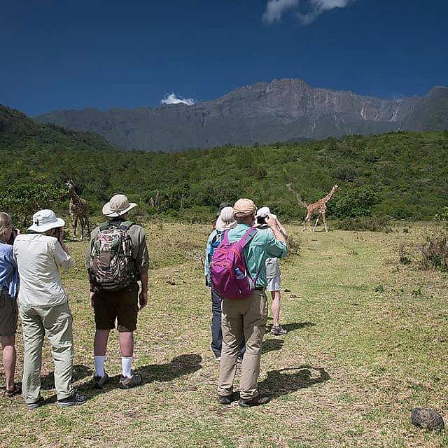 Excursão de dia inteiro ao Parque Nacional de Arusha