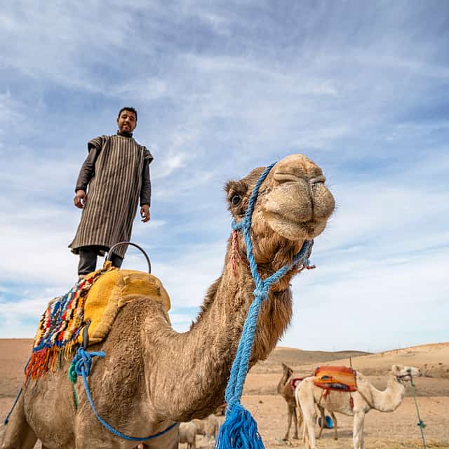 Full-day Trip to Atlas Mountains and Agafay Desert from Marrakesh