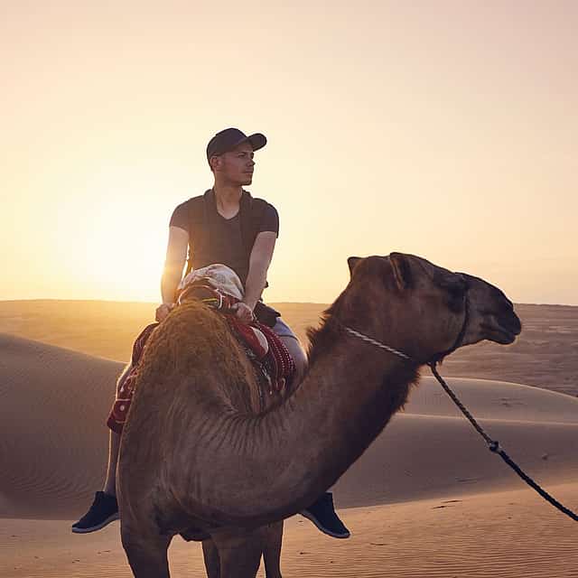 Desert Safari in the Evening