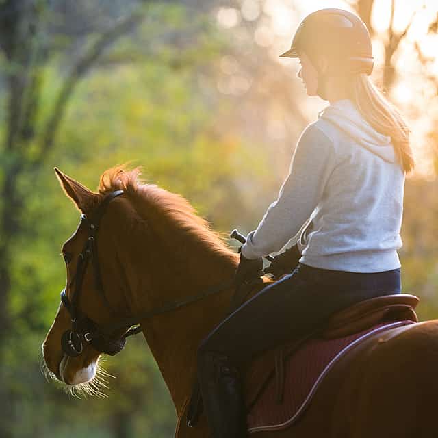 Experiencia a caballo