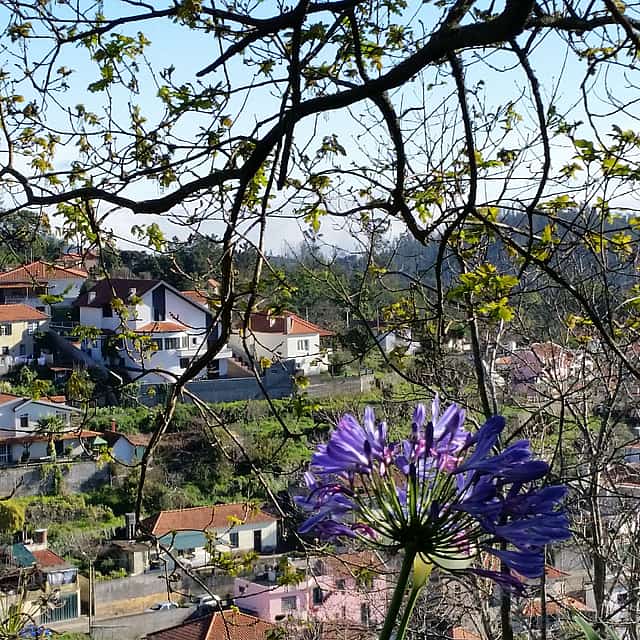 Paradise Valley Half-day Walking Tour