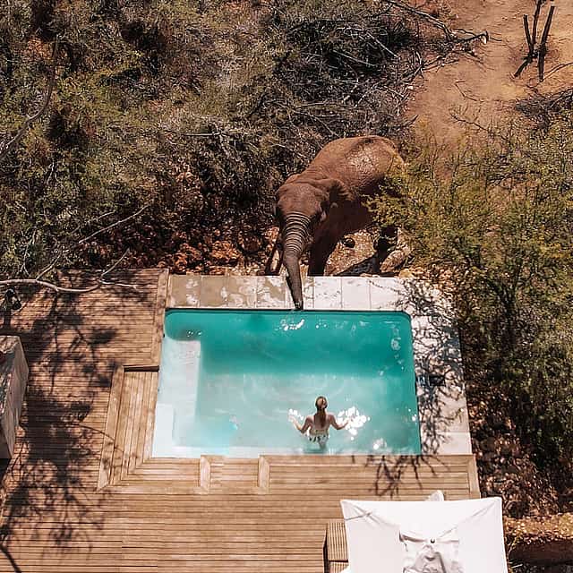 Private Safari Getaway to the Luxurious Tented Camp and Spa