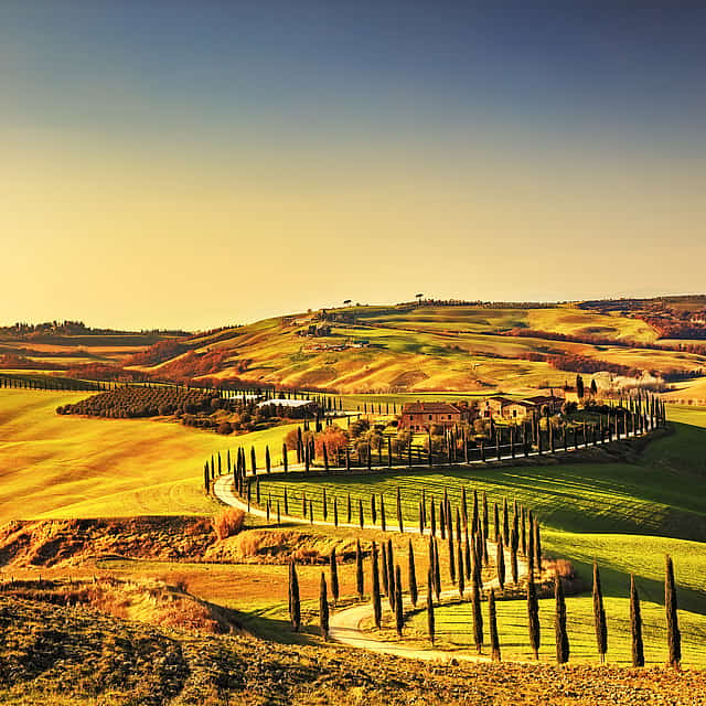 Chianti Wine Tour from Florence