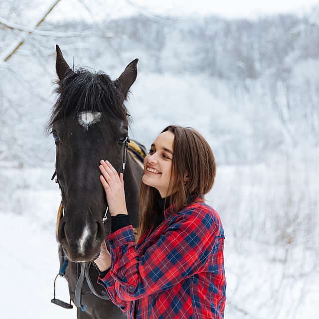 Small Group Horseback Riding Tour in the Snow