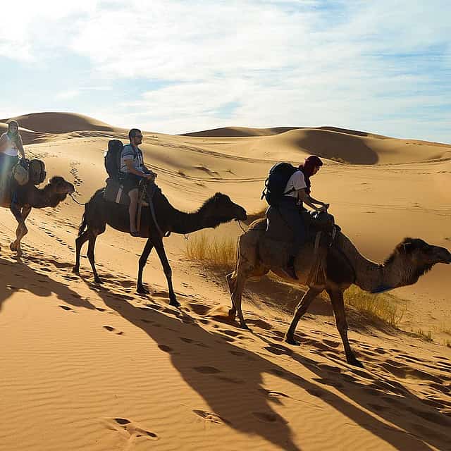 Agadir Paseo en camello con cena barbacoa