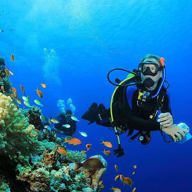 Buceo diario en Hurghada