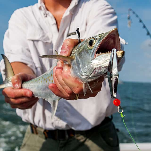 Experiencia de pesca en familia