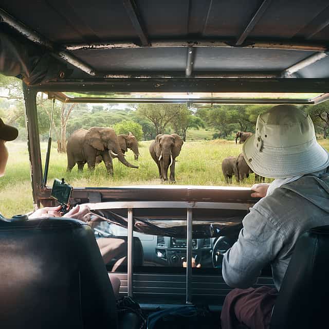 For Couples: Private Jeep Safari at Udawalawa National Park