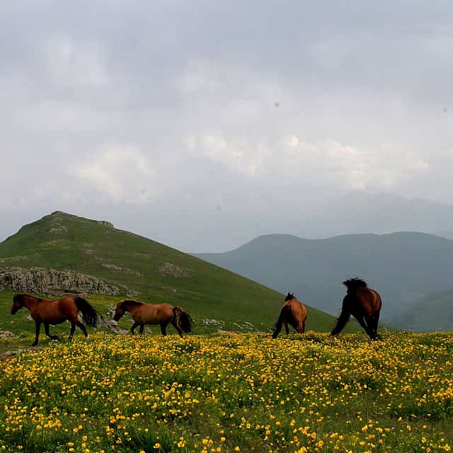 2-day Alpine Meadow Horseback Riding Tour in Armenia