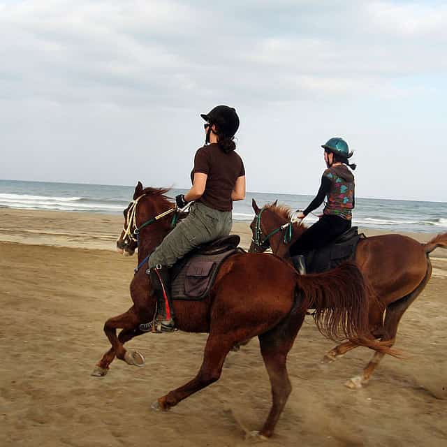 Horse Riding in Oman