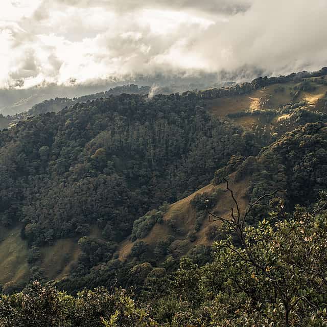 San Jose Mountains: Walking and Traditional Masks