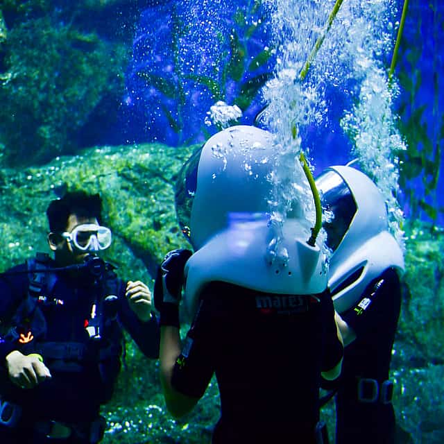 Bali Sea Walker and Water Sport Experience