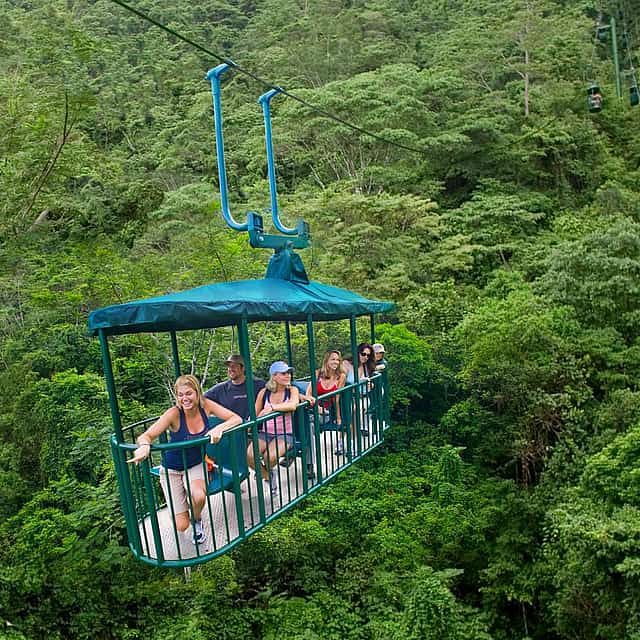 Воздушный трамвай RainForest, речной круиз и прогулка на природе: Эко-тур