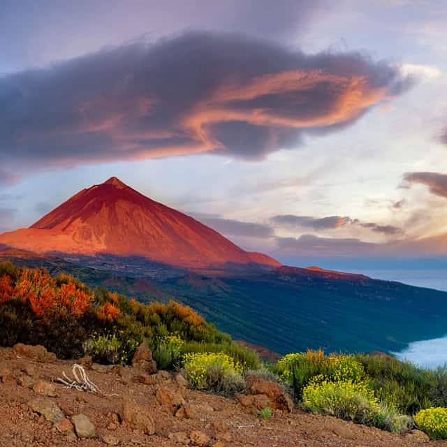 Private Excursion to Teide National Park