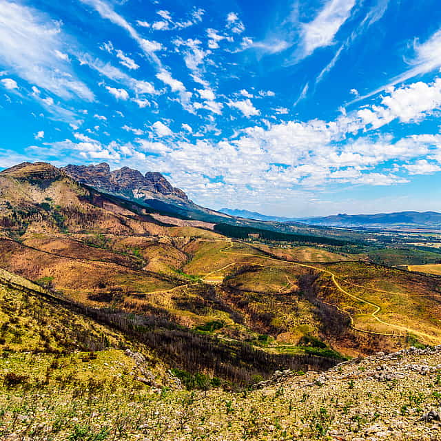 Full-day Ceres and Bainskloof Trike Tour