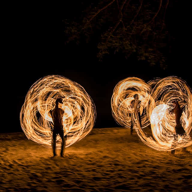 Safari nocturno por el desierto
